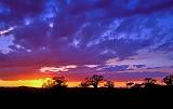 Sunset in Tarangire National Park, Tanzania, Africa